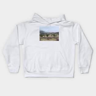 Misty Mountains Kids Hoodie